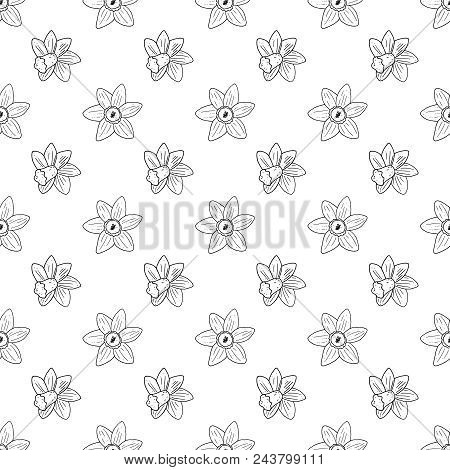 Vector Seamless Narcissus Monochrome Pattern. Vector Floral Pattern