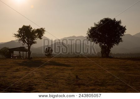 Silhouettes Of Beautiful Trees At Sunset On Scenic Mountain Background In Pai Valley On The North Of
