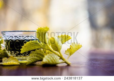 Green Colored Beneficial And Ayurvedic And Herbal Tea Of Carom Leaves Or Bishop's Weed Or Ajwain In 