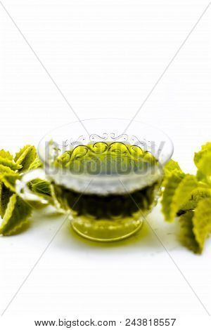 Green Colored Beneficial And Ayurvedic And Herbal Tea Of Carom Leaves Or Bishop's Weed Or Ajwain In 