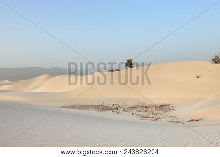 Big White Sand Dunes At Aomak Beach At Sunset, Socotra Island, Yemen. The Protected Area Of Aomak Be