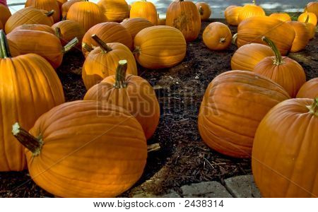 Gyllene pumpor