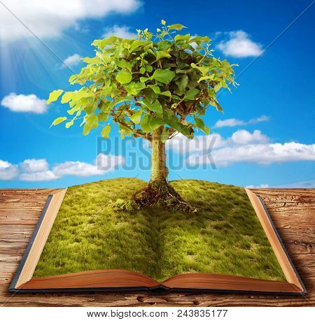 Nature Book With Tree And Sky On Wood Table.