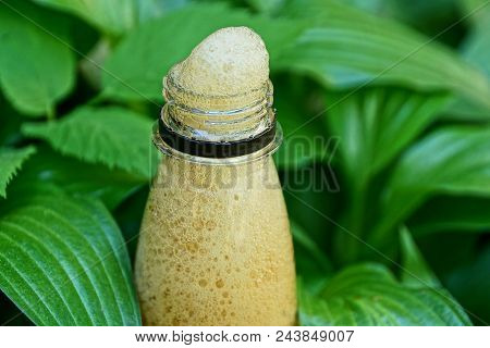 Bottle Neck With White Foam Among The Green Leaves