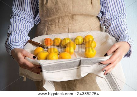 A Man Is Holding A Tray Fukk Of Fresh Apricots And Peaches From The Garden.