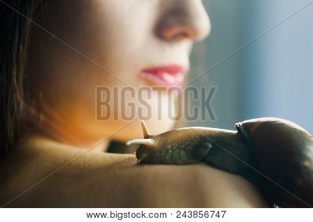 A Big Snail Akhatin Crawls On Female Shoulder. Cosmetological Procedure. Spa Concept.