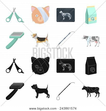 Dog, Cow, Cattle, Pet .vet Clinic Set Collection Icons In Black, Cartoon Style Vector Symbol Stock I