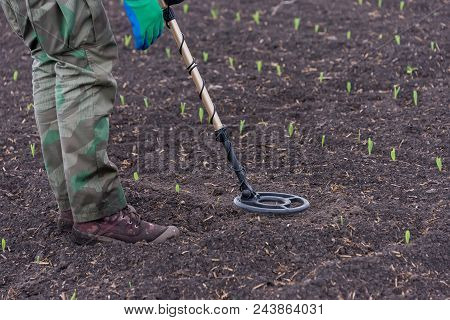 Man To Seek Treasure On Earth With A Metal Detector, Walks The Field, Squeak Gold