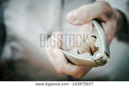 Nut Cracker In Chef Hand Closeup Photo. Using Nuts For Creative Cooking.
