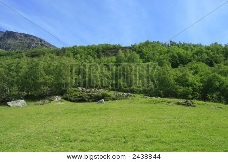 Ren vilde natur i Norge