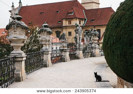 A Black Cat Sits On The Background Of The Medieval Architecture Of Prague In The Czech Republic.