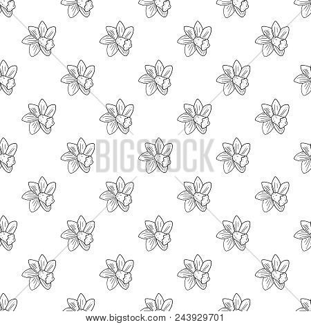 Vector Seamless Narcissus Monochrome Pattern. Floral Pattern.
