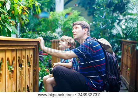Father And Preschool Kid Boy Discovering Flowers, Plants And Butterflies At Botanic Garden. Family, 