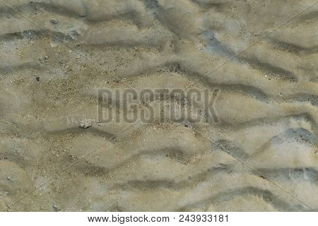 Curved Dirty Sea Beach As Background During The Low Level Sea
