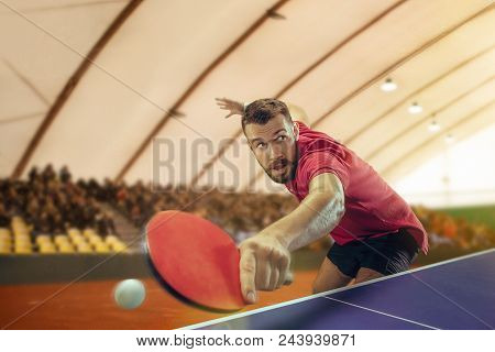 The Table Tennis Player In Motion. Fit Young Sports Man Tennis-player In Play On Sport Arena Backgro