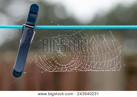 Spider's Web With Beads Of Dew On Clothes Line.
