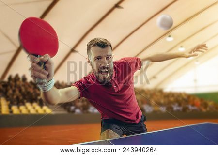 The Table Tennis Player In Motion. Fit Young Sports Man Tennis-player In Play On Sport Arena Backgro