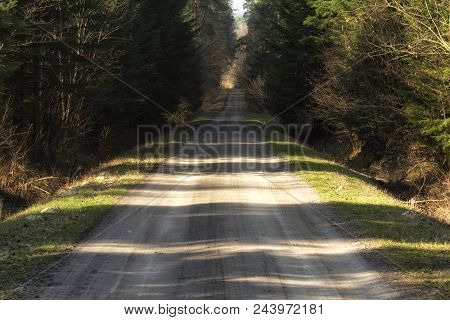 Hiking Trail Path  In Green Forest. Located I, Roztochia Region, Poland