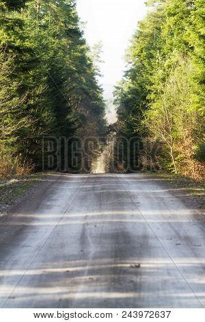 Hiking Trail Path  In Green Forest. Located I, Roztochia Region, Poland