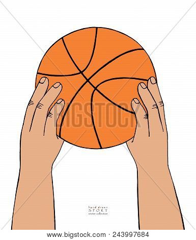 Hands Hold Basketball Ball On White Background. Hand Drawn Sketch. Sport Collection Vector Illustrat
