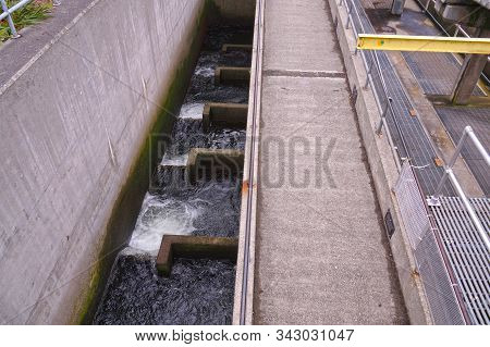 Way To Spawning. A Fish Ladder, Also Known As A Fishway, Fish Pass Or Fish Steps, View From Ballard 