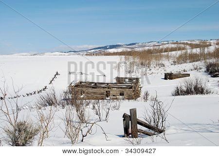Vinter ruiner