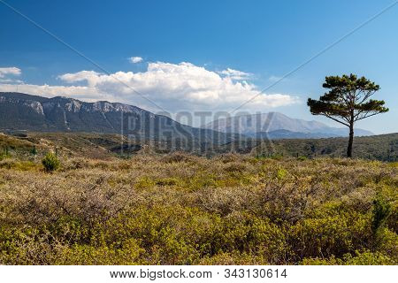 Scenic View At Landscape On The Westside Of Greek Island Rhodes With Green Vegetation In The Foregro