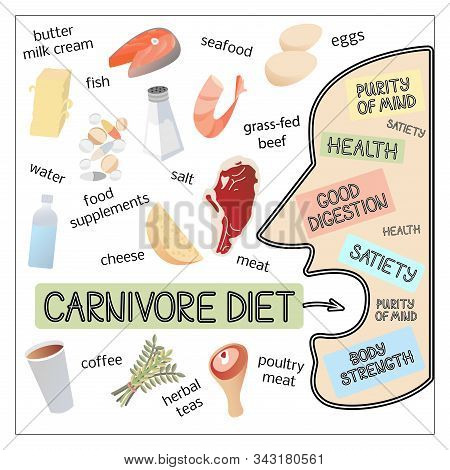 Vector Image Illustration Of Carnivore Diet Products And Man Silhouette With Inscriptions About His 