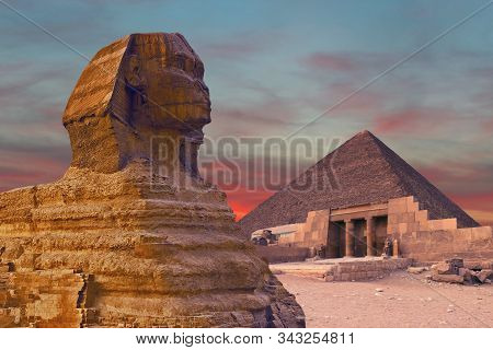 Foreground Of A Camel Dromedar Against The Backdrop Of The Great Pyramids, View Of The Sunset Sky In