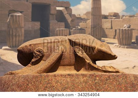 Foreground Of A Camel Dromedar Against The Backdrop Of The Great Pyramids, View Of The Sunset Sky In