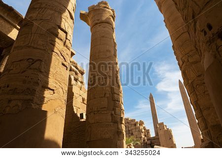 Foreground Of A Camel Dromedar Against The Backdrop Of The Great Pyramids, View Of The Sunset Sky In