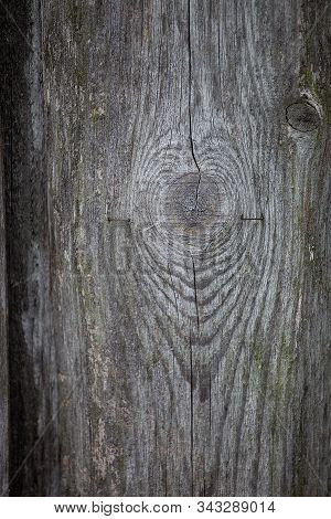 Gray Weathered Shabby Wooden Plank Surface Close Up
