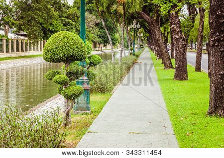 Beautiful Narrow Sidewalk With Small Green Bushes On Left Side And Green Grass With Trees On The Lef