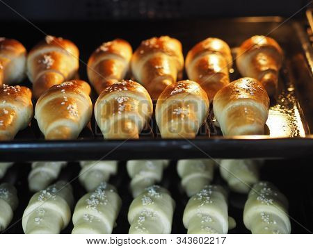 Ready-made Toasted Homemade Bagels On A Black Baking Sheet From The Oven. Ready To Eat. Sprinkled Wi