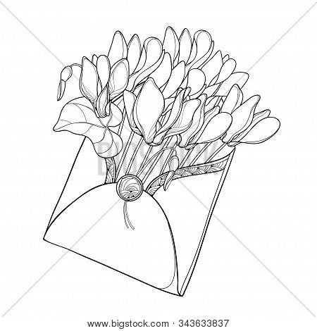 Vector Bouquet Of Outline Cyclamen Or Alpine Violet Bunch, Bud And Leaf In Envelope In Black Isolate