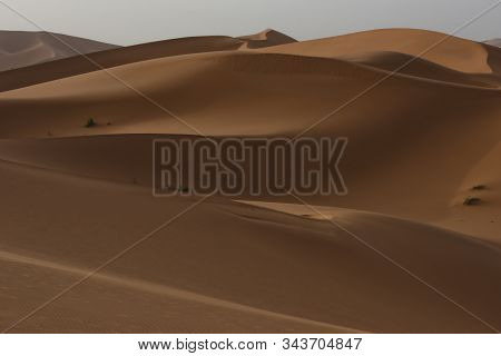 The Beauty Of The Sand Dunes In The Sahara Desert In Morocco. The Sahara Desert Is The Largest Hot D