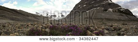 Robson Glacier Panarama