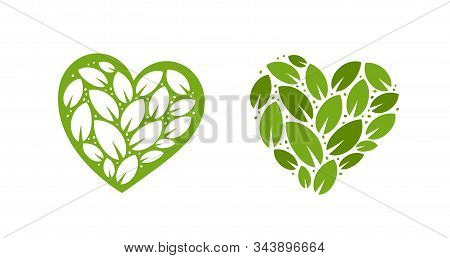 Ecology Logo. Nature, Natural Label. Vector Illustration