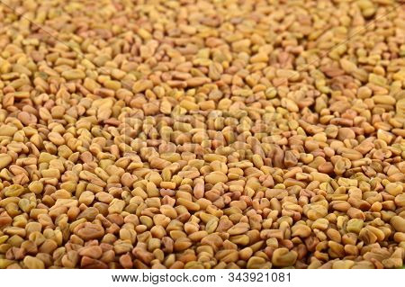 Fenugreek Seeds As Background. Close Up Texture