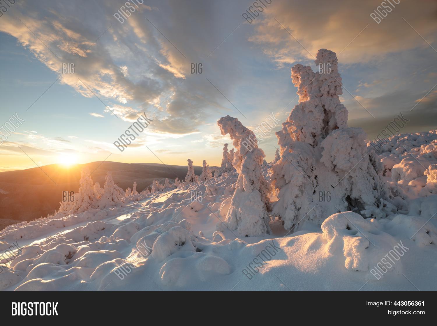 Image Preview
