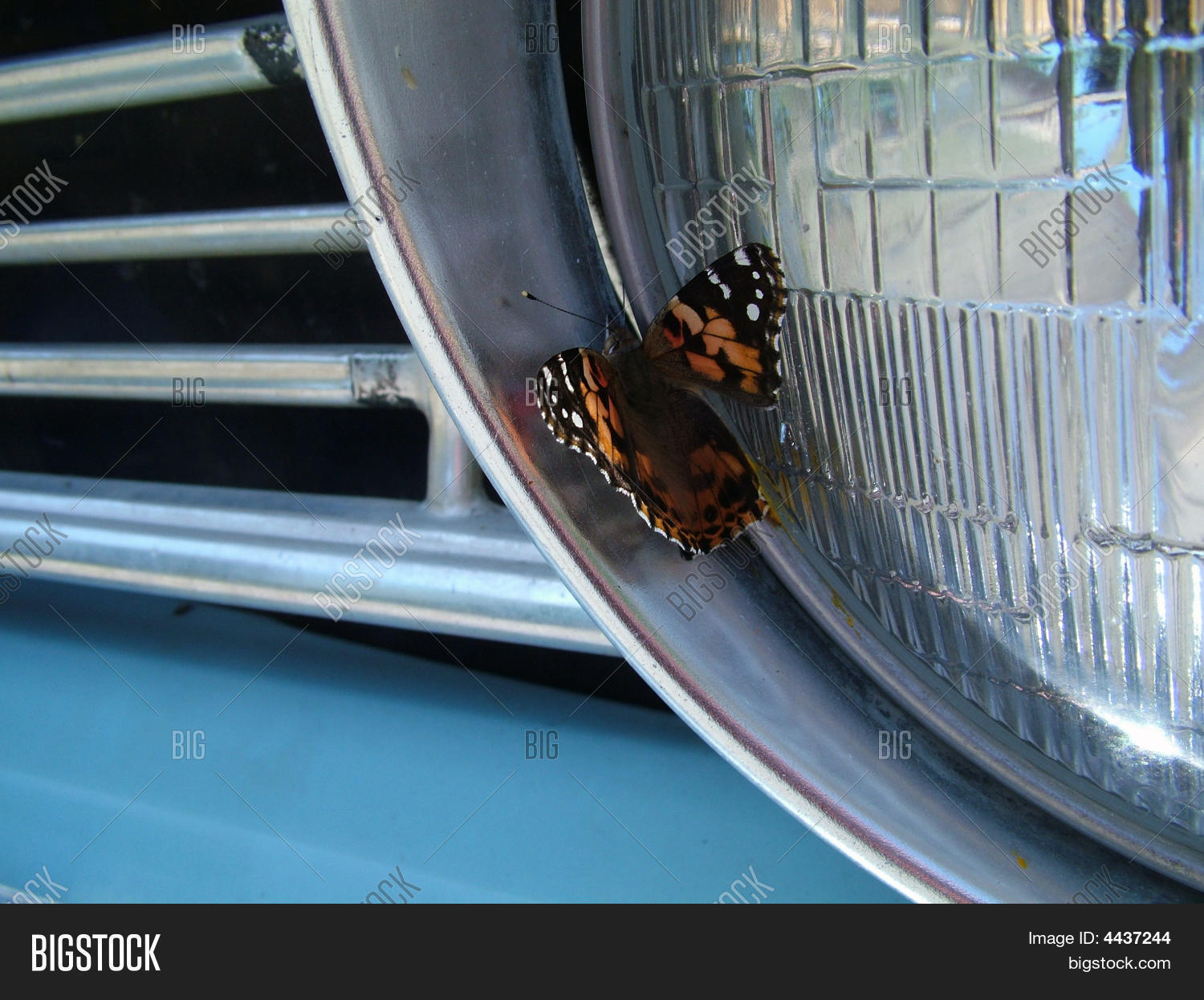 Image Preview