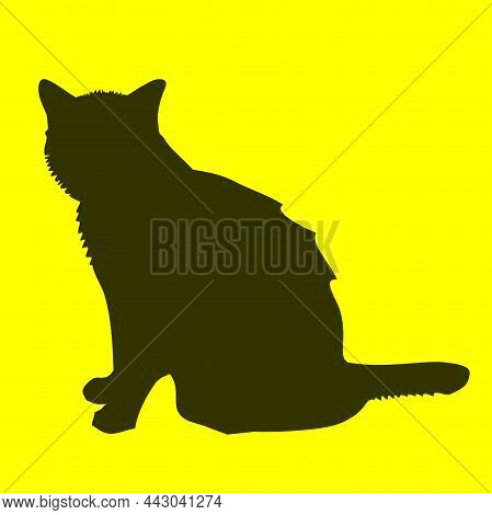 Cat Animal Silhouette Fanua Vector Illustration Clipart