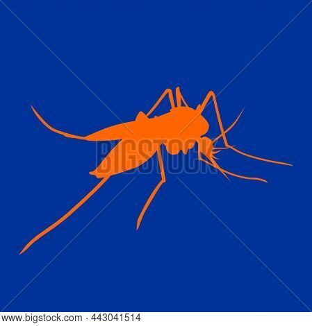 Mosquito Animal Silhouette Fanua Vector Illustration Clipart
