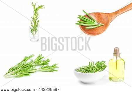Group Of Rosemarie Isolated On A White Background
