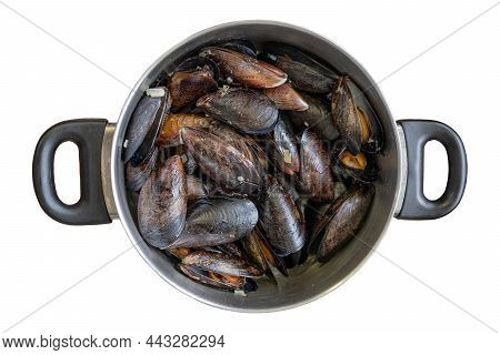 Meatal Bowl Of Blue Mussels In Garlic Sauce