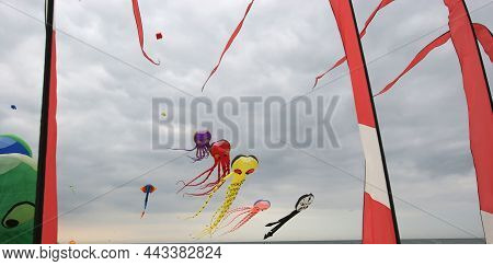 Kites On The Beach Of Berck, France