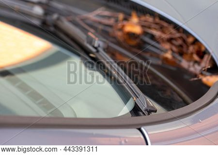 Brecht, Belgium - November 27 2021. A Close Up Portrait Of Some Volvo Windshield Wipers, The Blades 