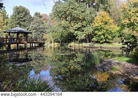 Wroclaw, Poland - September 30, 2021: Japanese Garden In  Szczytnicki Park, Exotic Plants. The Japan
