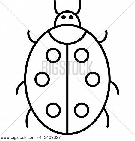 This Vector Image Shows A Ladybug In Outline Icon Design. It Is Isolated On A White Background.