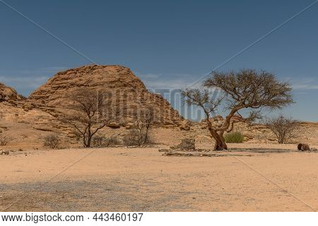 Rock Formations In The Desert Near The Spitzkoppe, Namibia
